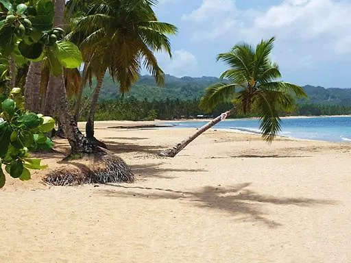 Villa Buena Vista Las Terrenas